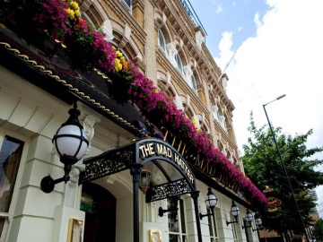 Mad Hatter Hotel