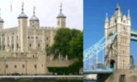 The Tower Experience