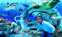Sealife London Aquarium