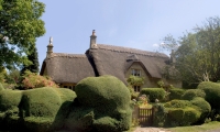 Visit Picturesque Cotswolds Inclusive Lunch- Tour 12