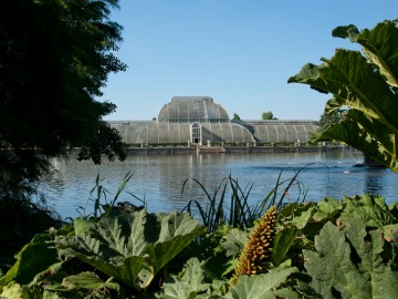 Royal Botanic Garden, Kew