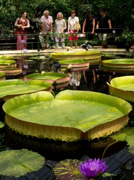 Royal Botanic Garden, Kew