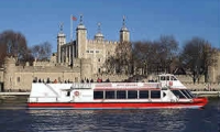 Cruise From Tower to Greenwich