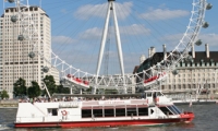 Cruise From Tower to Westminster/London Eye
