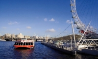 Cruise From Westminster/ London Eye to Greenwich