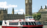 Cruise From Westminster/London Eye to Tower